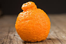 Sumo Orange 1kg pack