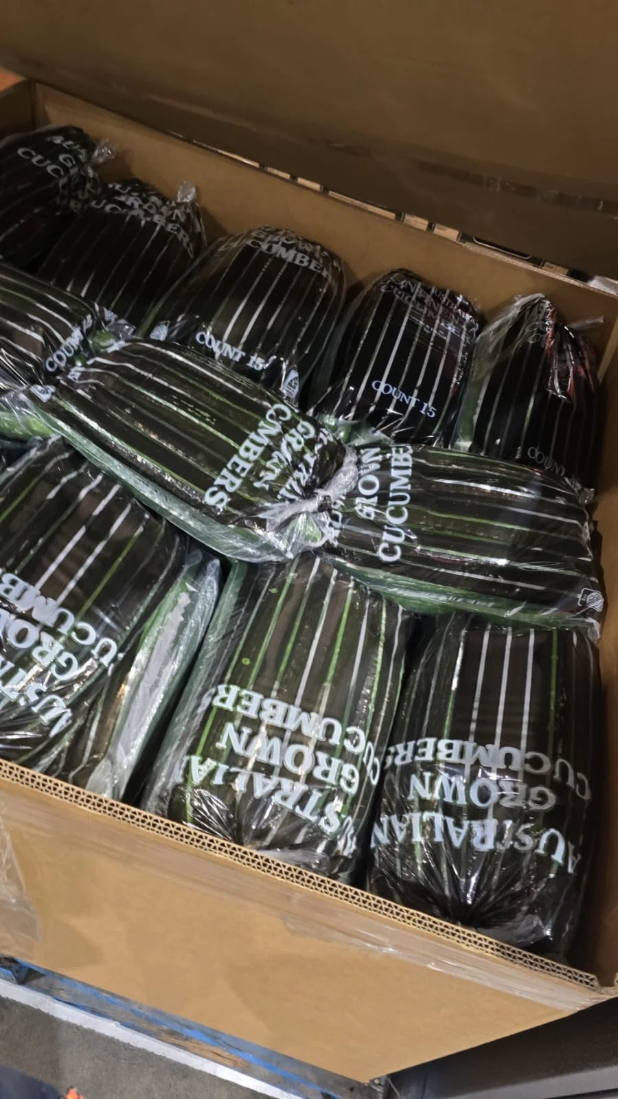 Cucumber Continental Each