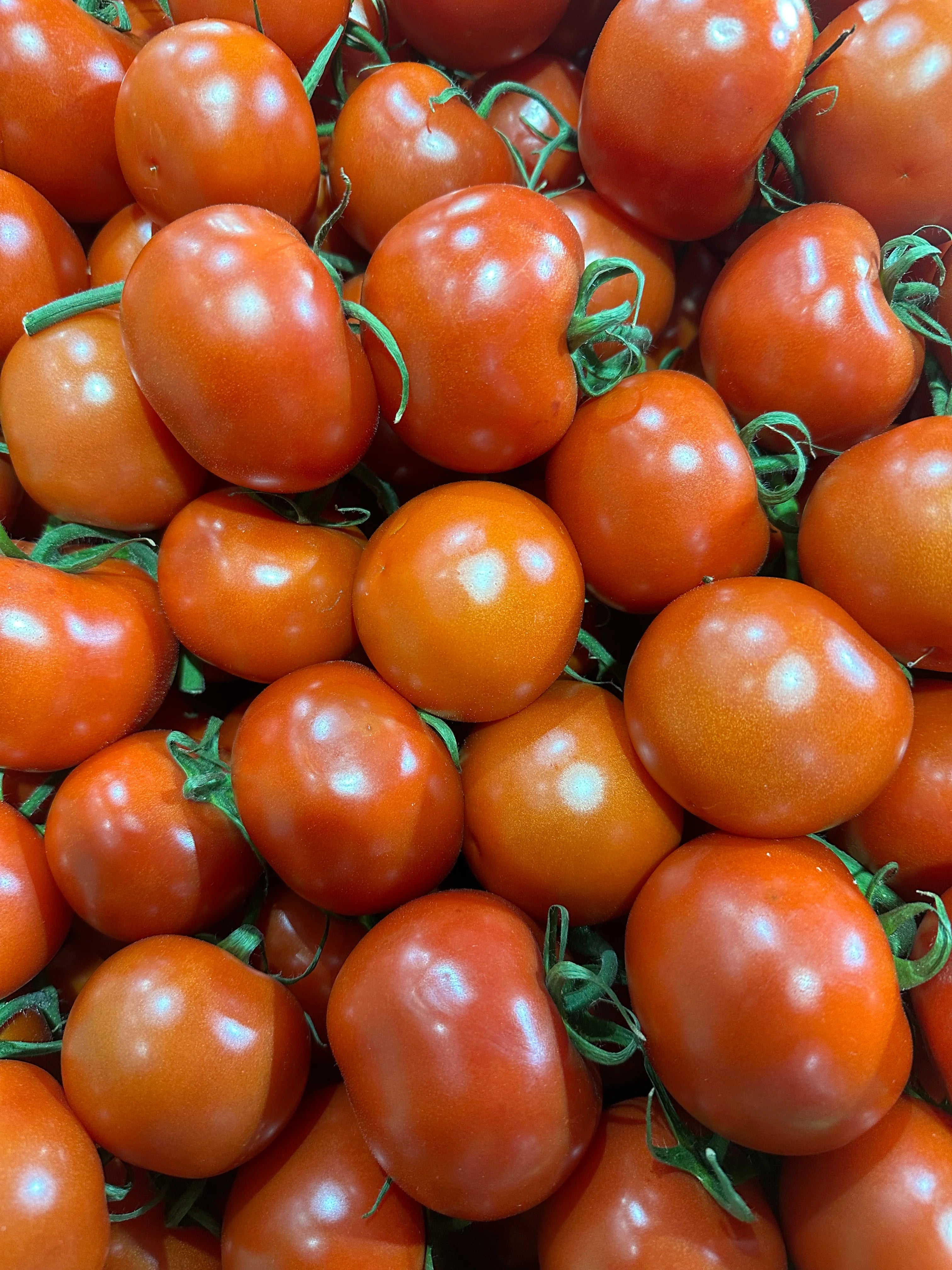 Truss Tomato Each - KG