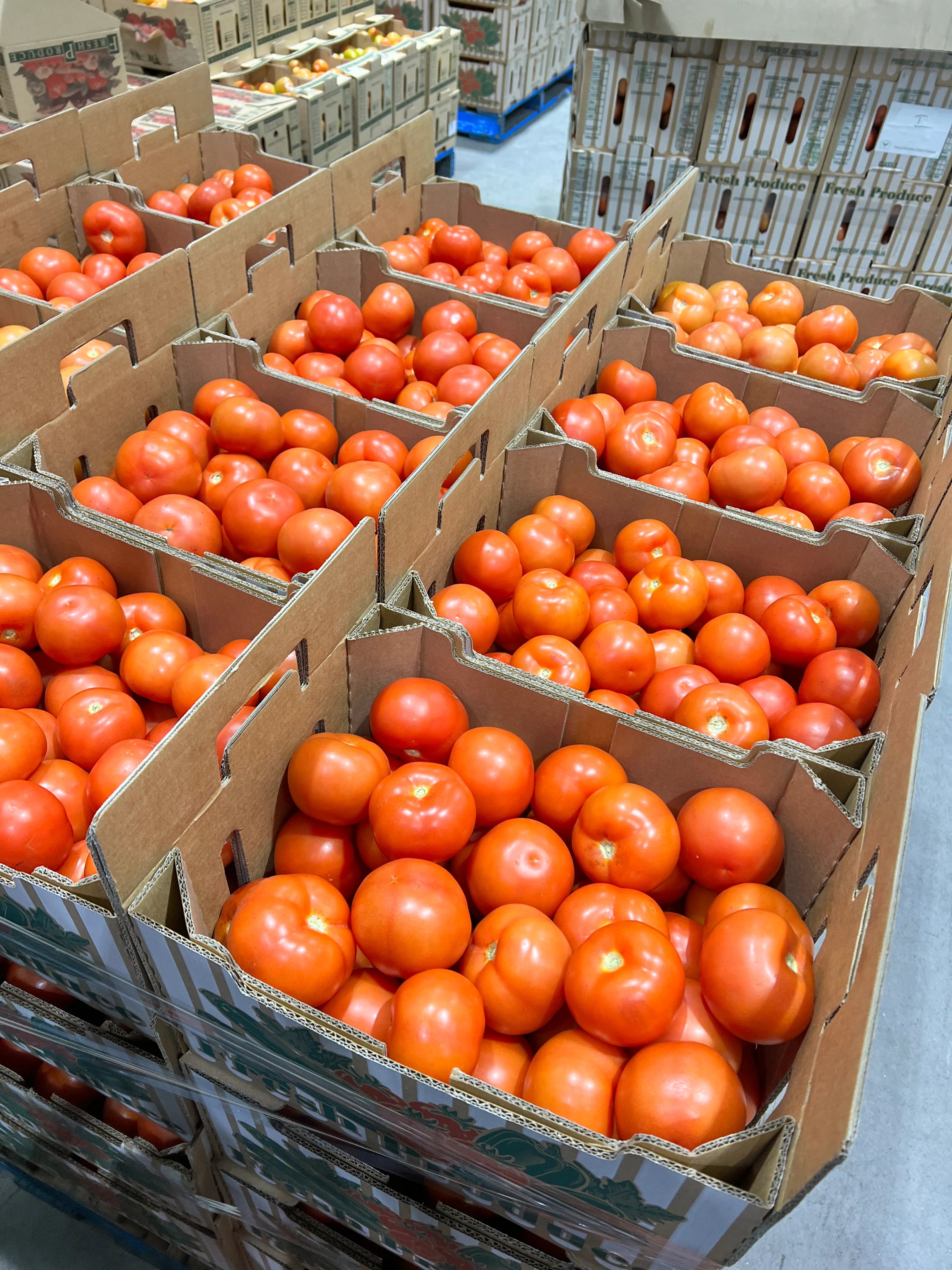 Tomato 500Gr - KG