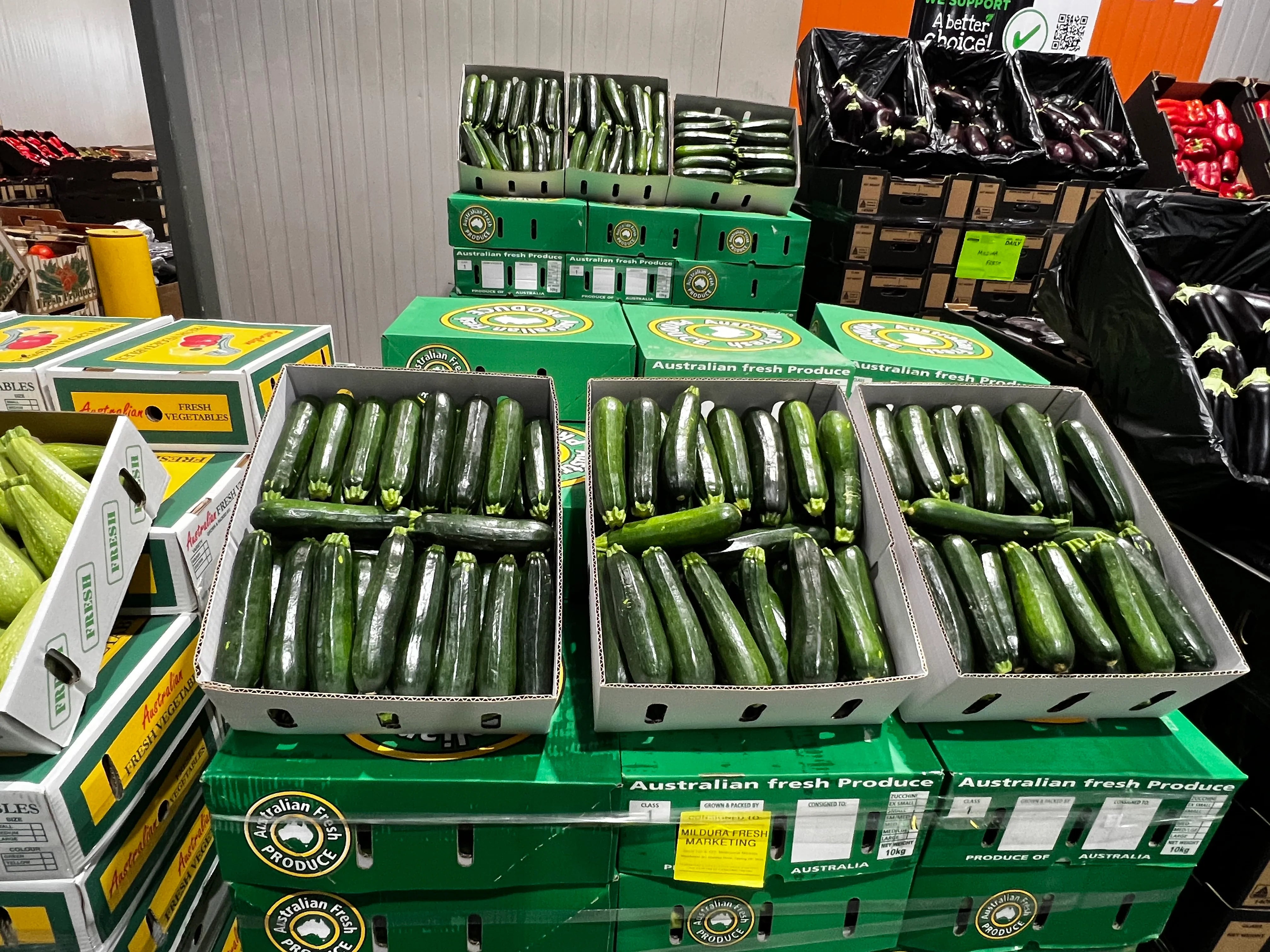 Zuccini Green Each - KG