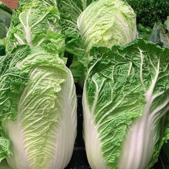 Wombok Cabbage Chinese Each