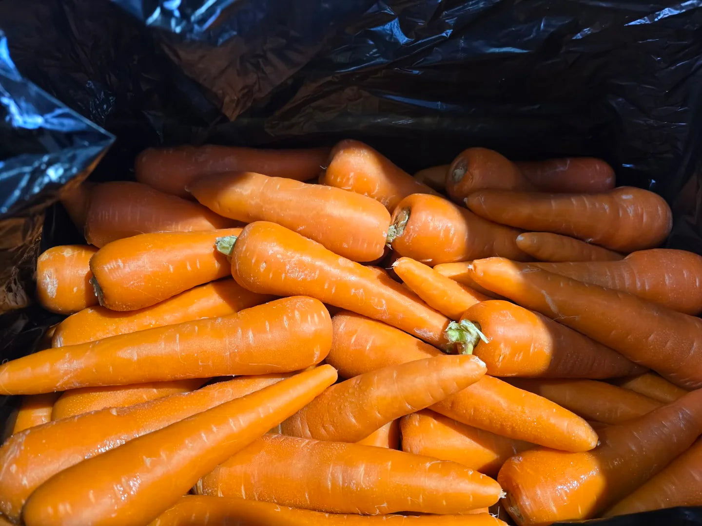 Carrot Loose per Kg