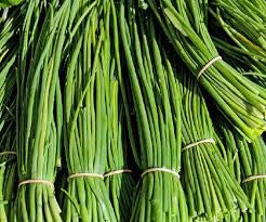 Chives Bunch