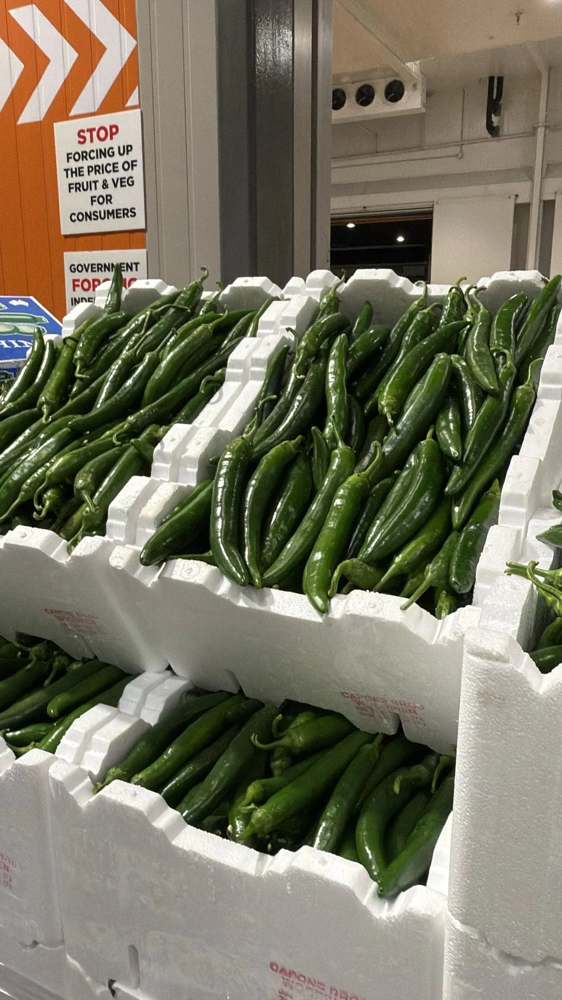 Long Green Chillies 500 grams - 1kg