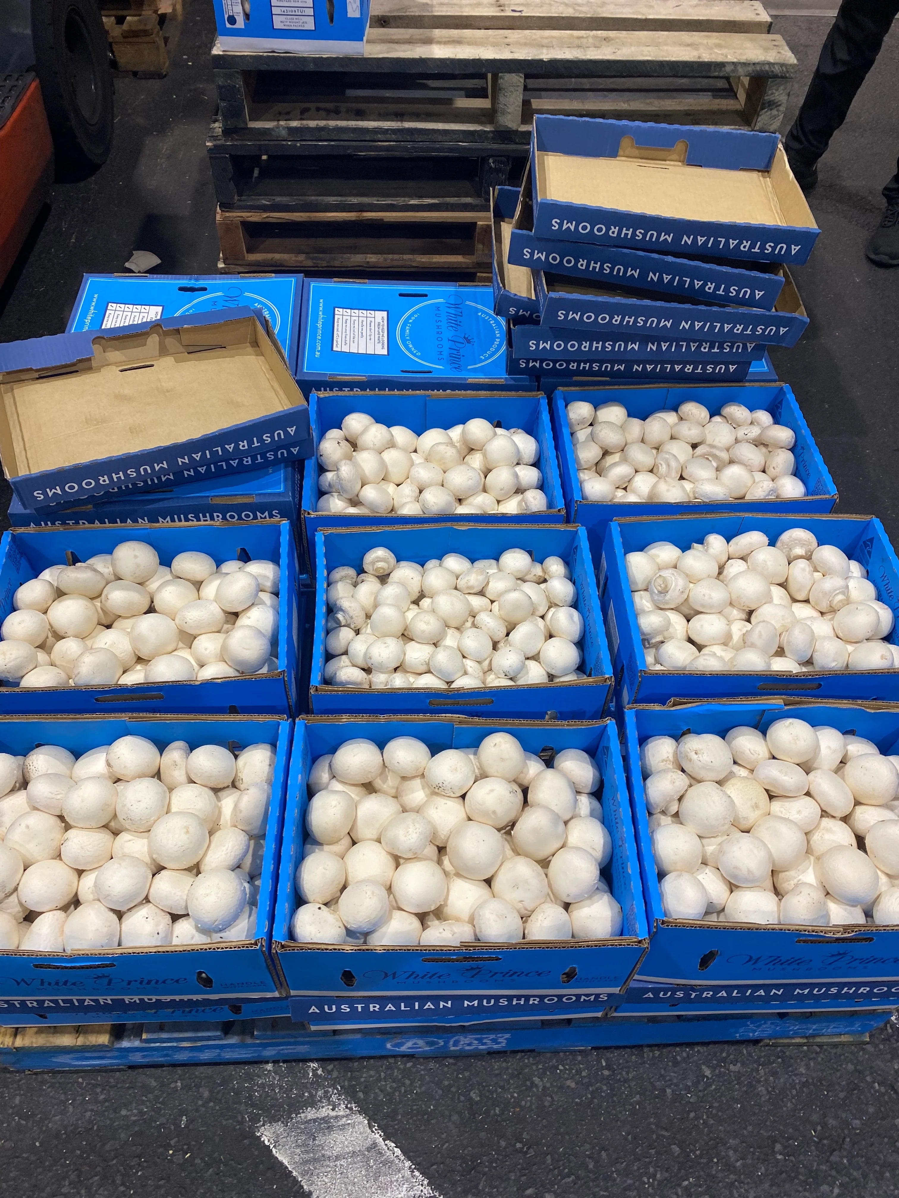 Muhsrooms Cup 200 grams - 1KG