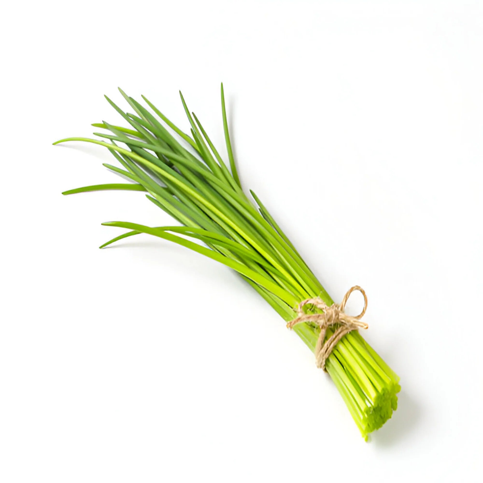 Chives Bunch
