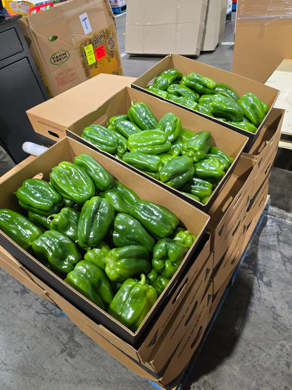 Green Capsicum Each & KG